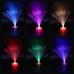 Color Changing LED Fiber Optic Night Light Home Decoration Light