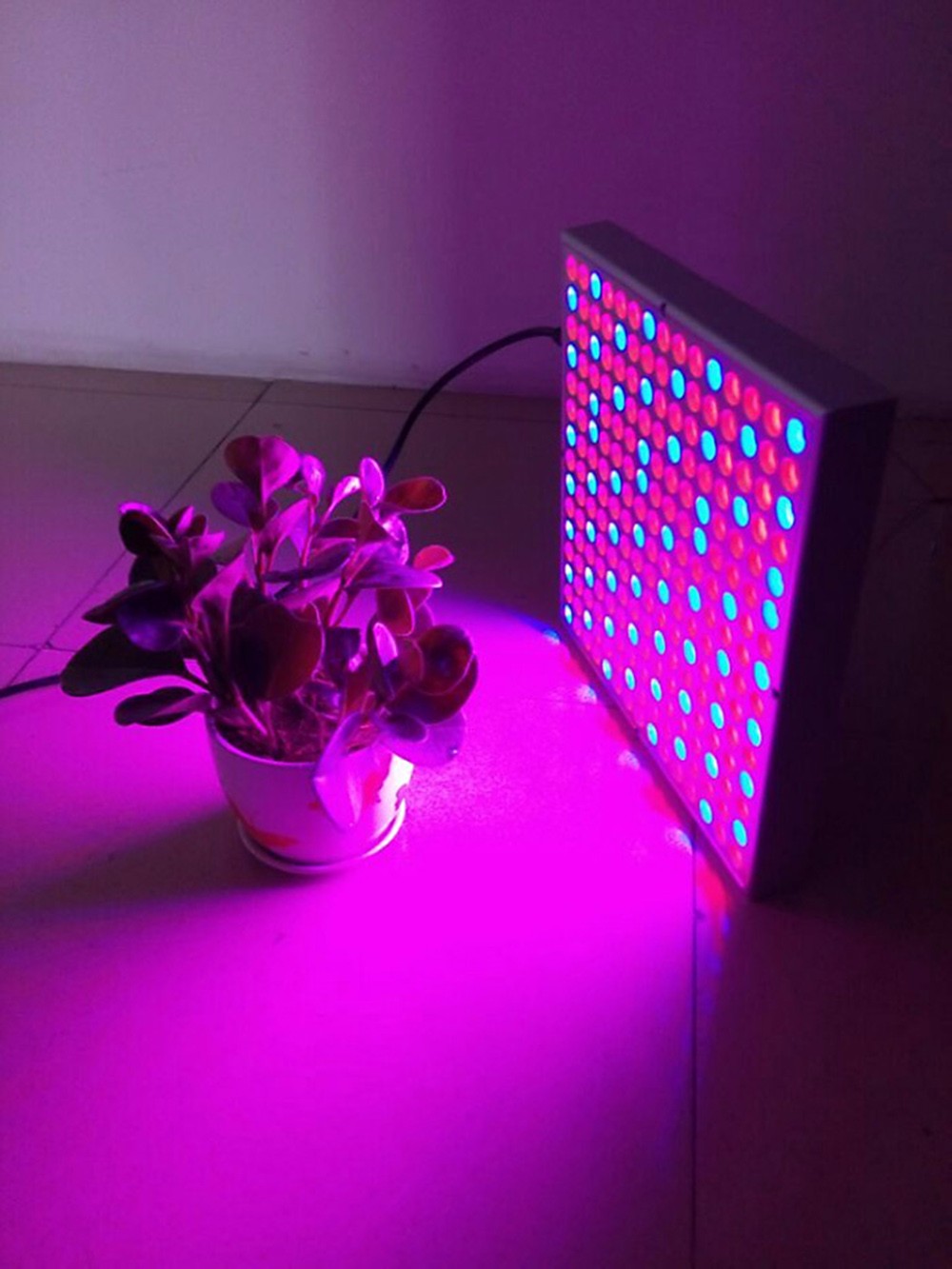 14W LED Grow Light Blue + Red Daylight Spotlight Spectrum for Indoor Plants / Seedling - EU Plug